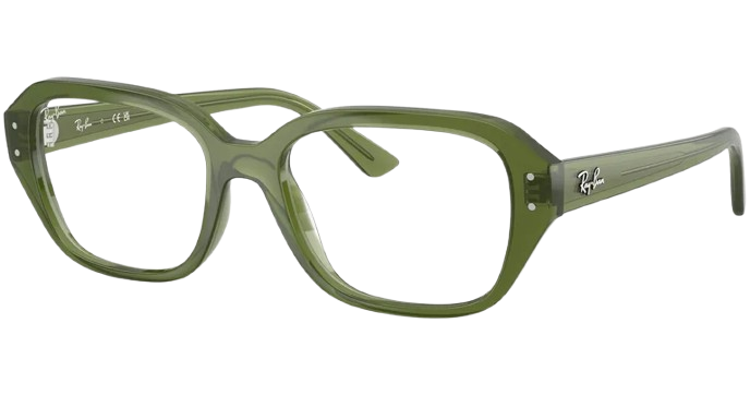Ray-Ban RX7258 8450