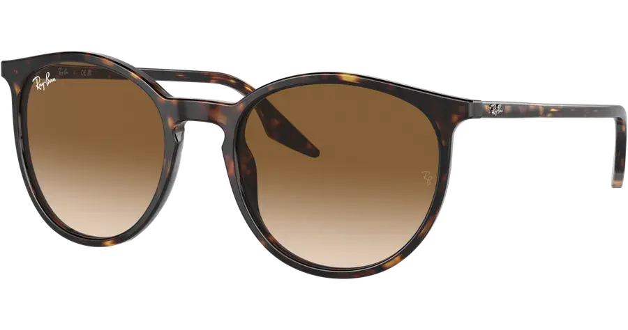 Ray-Ban RB2204 90251